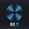 RX 11 logo black small.webp