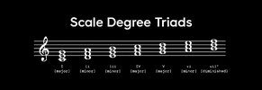 Intro_Harmony_Scale_Degree_Triads.webp.jpg
