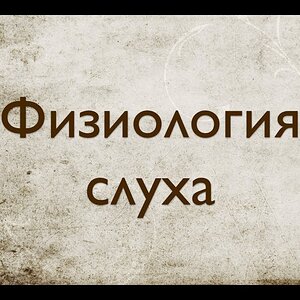Звукорежиссура. Выпуск №3 - Физиология слуха. Пособие для звукорежей [Школа живого звука]